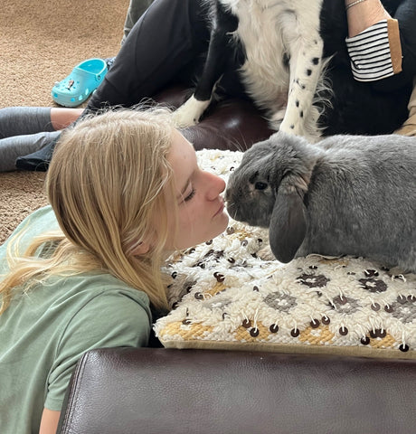Enzo the bunny getting kisses
